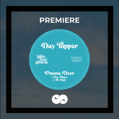 PREMIERE: Prisma Deer - Fly High (White Deer Records)