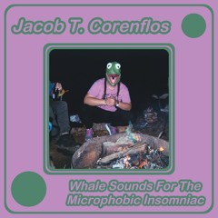 Whale Sounds For The Microphonic Insomniac