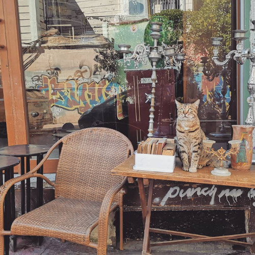 Cervus & Baris Bergiten B2B @ MiniMuzikhol 04/12/2021