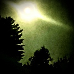 nightsong