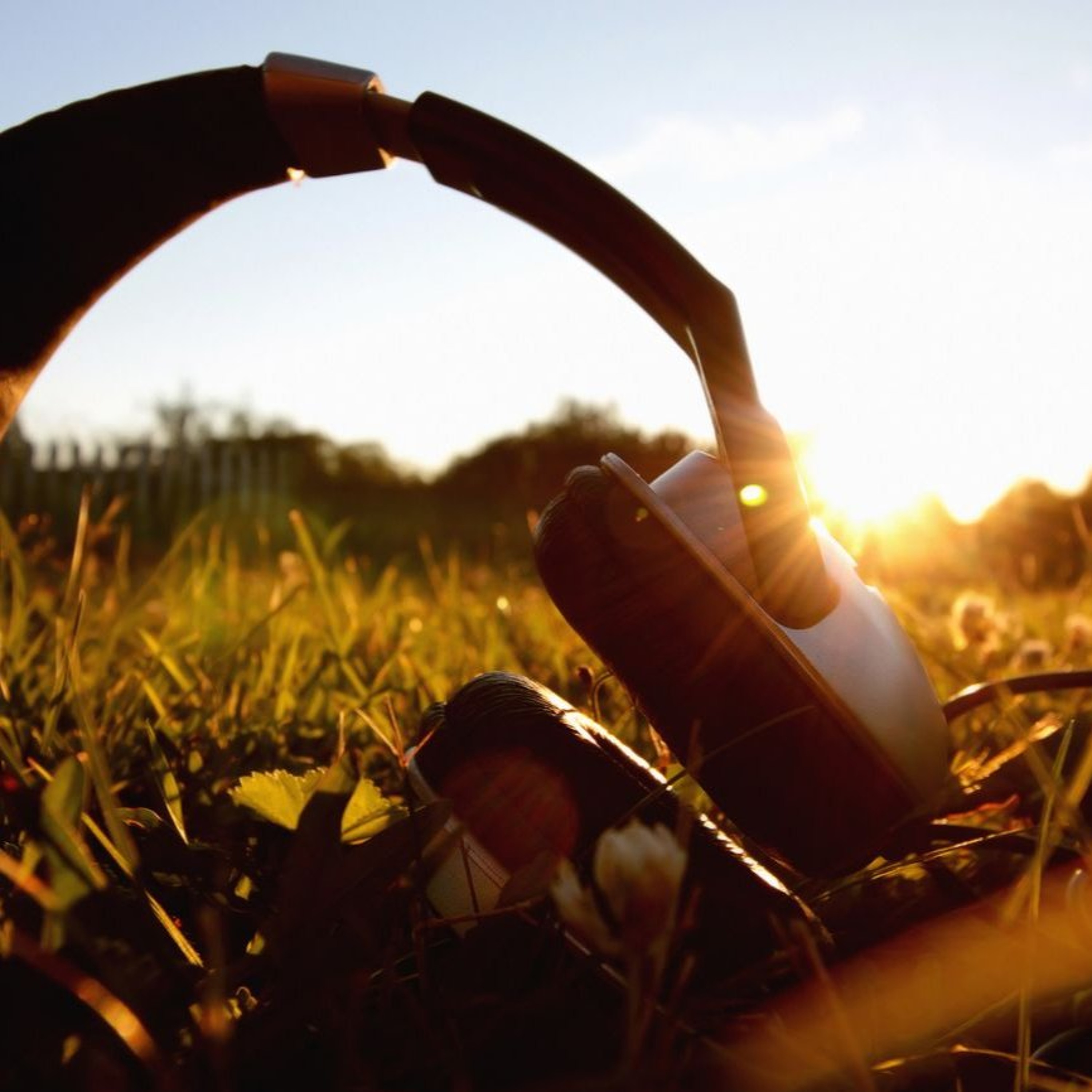 Best of Awake in the World: 20 min. Guided Meditation: Receptive Listening
