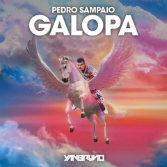 VS - GALOPA - Pedro Sampaio