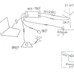 5.1 Springtails/ Snails/ Crematogaster at EMPAC