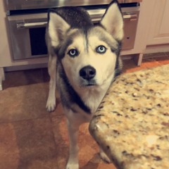 Money Made You Do It