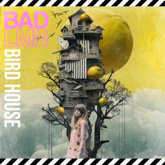 Bird House | BADLMN