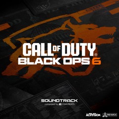 BLACK-OPS 6 - EASTER EGG ZOMBIES