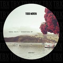 Premiere: Valts Incis - Kiyosaki [Todd Nerdy]