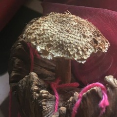 mushtalk