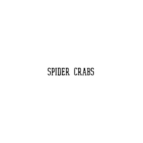 SPIDER CRABS