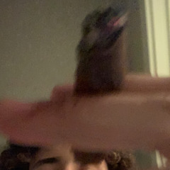 Rats N Snakes (feat. Worldstarzy)