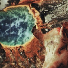 Herbal Haunting Aquacomplex