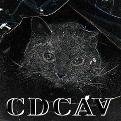 Cats Didn't Care About Virus
