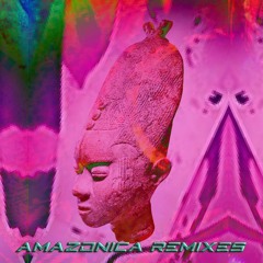 AMAZONICA - EN LA JUNGLA ( INTI KUNZAS SALSOTEC REMIX)