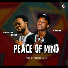 Peace of Mind (feat. Revoluxon Rocky)