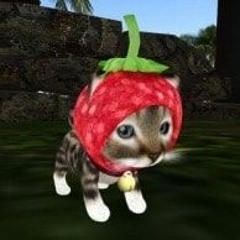 I love to play roblox its sooooooo fun