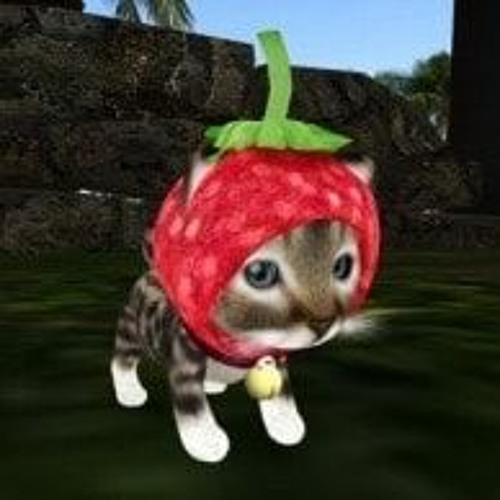 I love to play roblox its sooooooo fun
