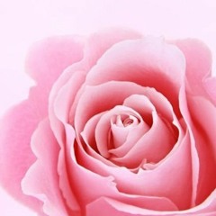 She's So Pink (The Daytona Stripper Song) ©HardWinterSongs