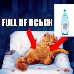 ПСЫЖ FREESTYLE