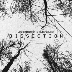 DISSECTION (feat. youngmindtrip) [music video in description]