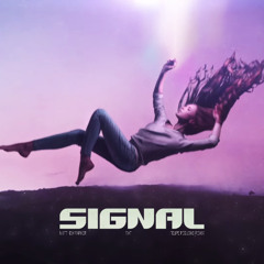Signal (Felipe Pequeno Remix)