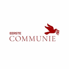 EERSTE COMMUNIE #015 FLAWS