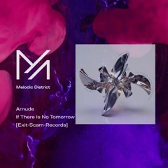 PREMIERE: Arnude - If There Is No Tomorrow [Exit-Scam-Records]
