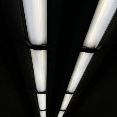 Neurolights