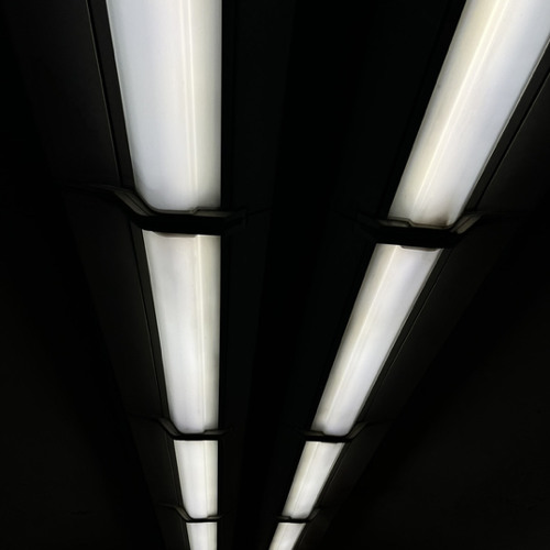 Neurolights