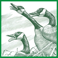 A Sand County Almanac