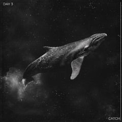 Kosheen - Catch (DISCO19 Remix) [2023] [FREE DOWNLOAD]