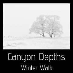 Winter Walk (Instrumental)