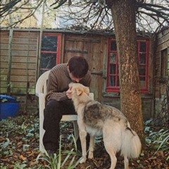 Fovea - Chateau dans le ciel