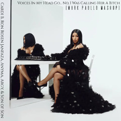 Voices In My Head Go... No, I Was Calling Her A Bitch (Mark Paullo Mashup)