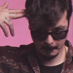 Stabil - Sokak Güvercini