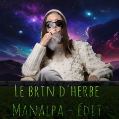 Brigitte Fontaine - Le Brin D'herbe(manalpa Edit)