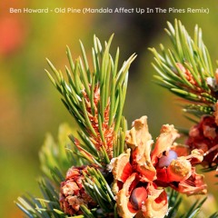 Ben Howard - Old Pine (Luke Mandala Up In The Pines Bootleg) FREE DOWNLOAD