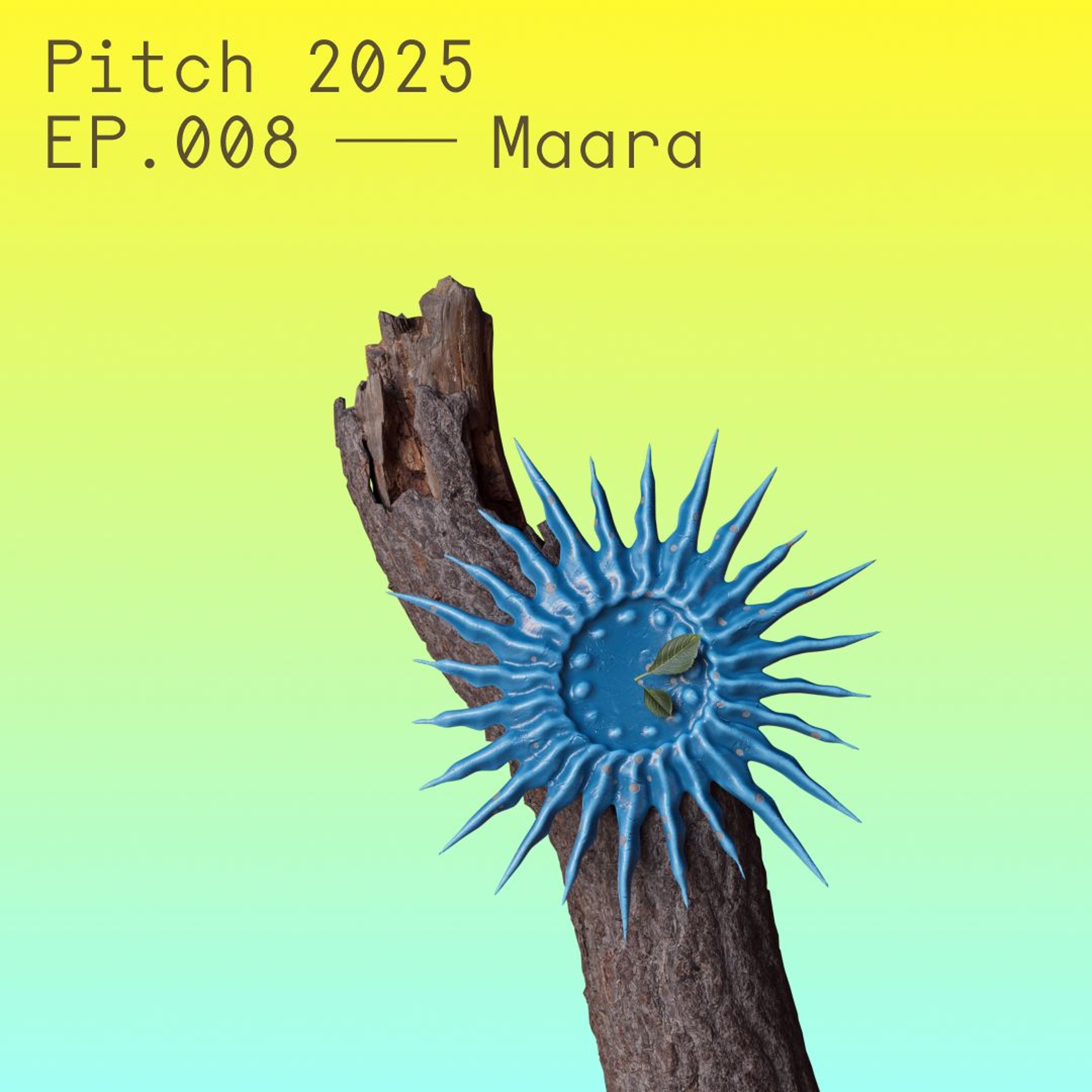 Maara — Pitch Music & Arts 2025 episode artwork