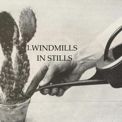 Windmills In Stills