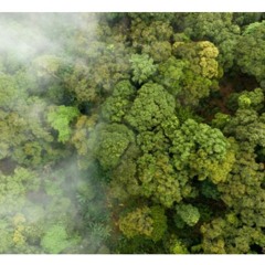 Soulink (Quick Fix II)