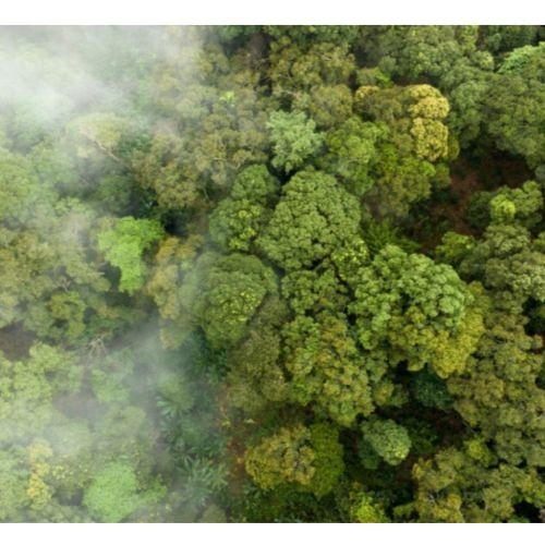 Soulink (Quick Fix II)