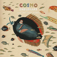 Cosmo Sheldrake - Run Rings Right Wrongs (Instrumental)