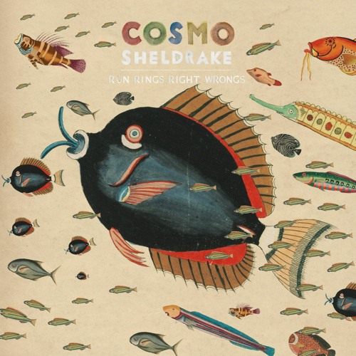 Cosmo Sheldrake - Run Rings Right Wrongs (Instrumental)