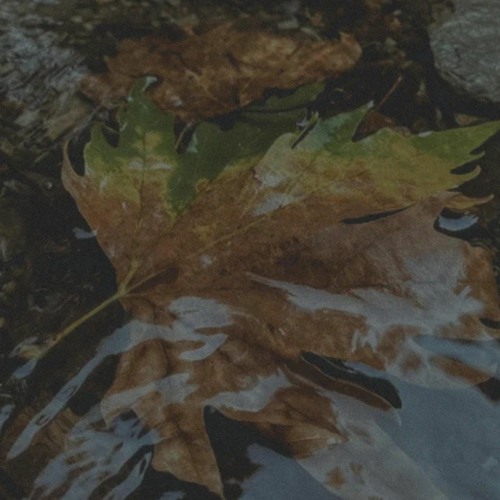Frxzbie - Sonbahar