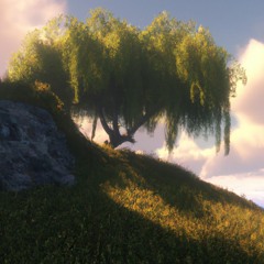 willow tree