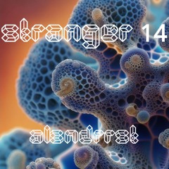 Stranger 14 (Extended Mix)
