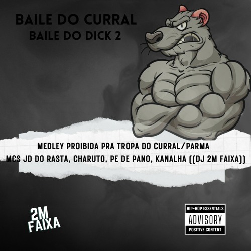 MEDLEY PROIBIDA PRA TROPA DO CURRAL PARMA MCS JD DO RASTA, CHARUTO, PE DE PANO, KANALHA DJ 2M FAIXA