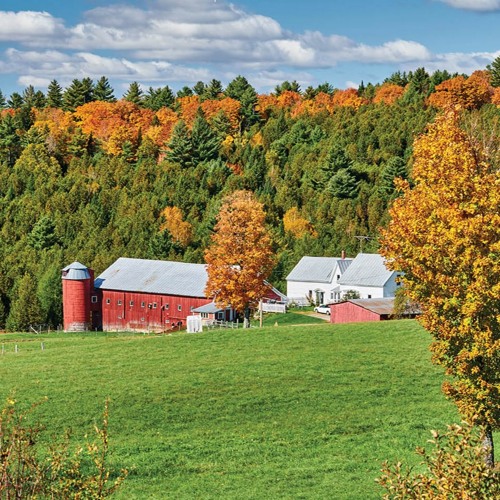 Stream episode Finding A Way Forward For Mid Size Farms Dr Thomas