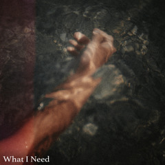 What I Need