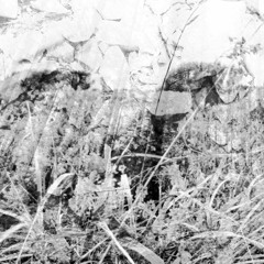 la_veritℇ_Synthℇtique_part.2