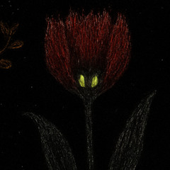 shift ( p. ssjlamar )